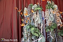 VBS_0135 - Corollaria Flower Exhibition 2022